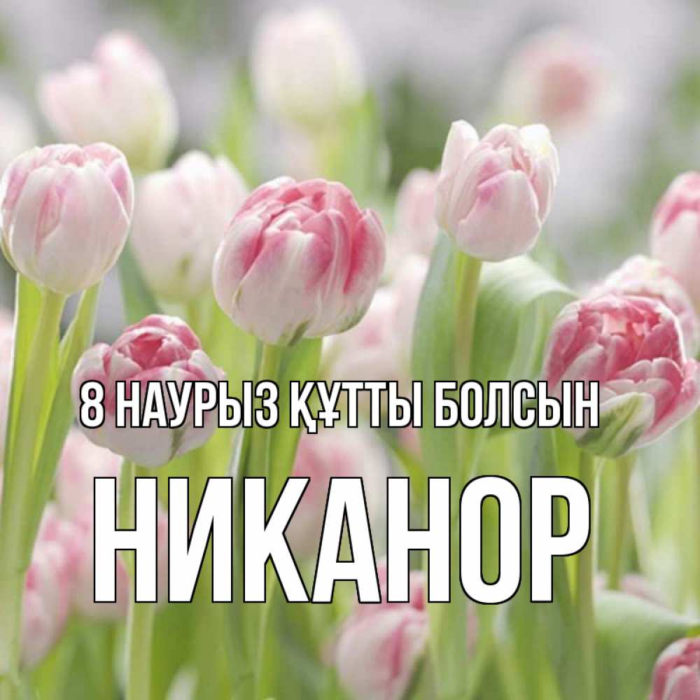 Күн сайын ашық хат с именем, Никанор 8 наурыз құтты болсын цветы Онлайн тегін жүктеп алу тілектері бар керемет карта 
