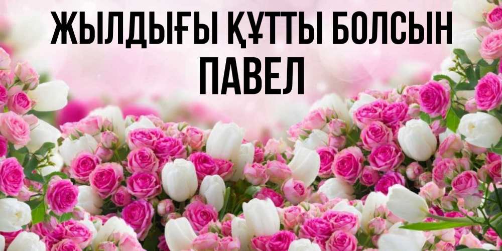 Күн сайын ашық хат с именем, Павел Жылдығы құтты болсын открытка с разными розами Онлайн тегін жүктеп алу тілектері бар керемет карта 