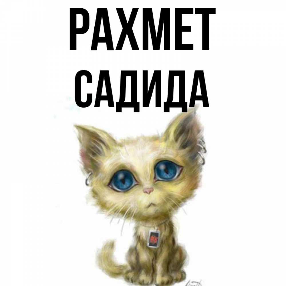 Күн сайын ашық хат с именем, САДИДА рахмет рисованный кот благодарит вас Онлайн тегін жүктеп алу тілектері бар керемет карта 