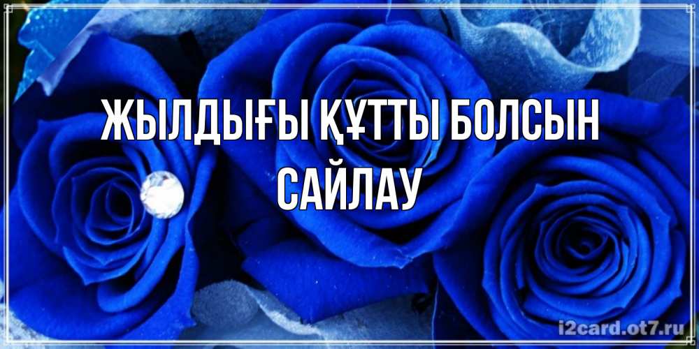 Күн сайын ашық хат с именем, САЙЛАУ Жылдығы құтты болсын синие розы в росе Онлайн тегін жүктеп алу тілектері бар керемет карта 