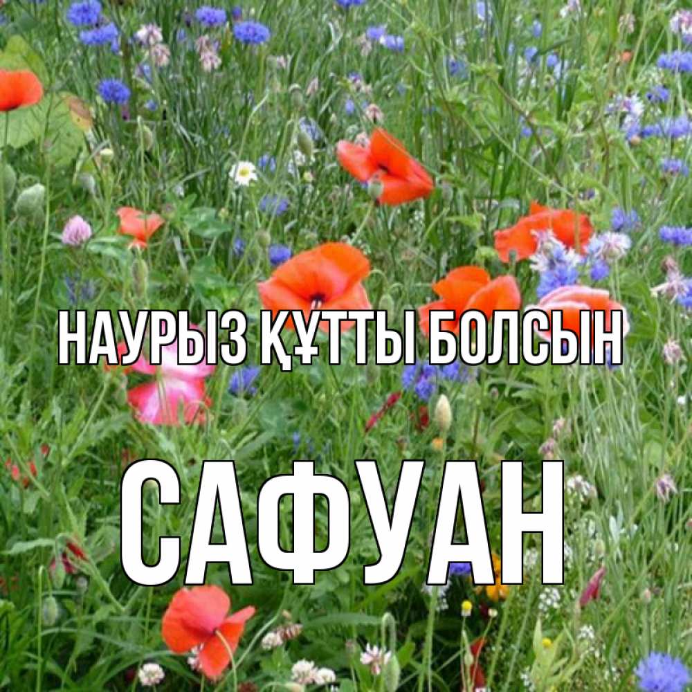 Күн сайын ашық хат с именем, САФУАН Наурыз құтты болсын наурыз  4 Онлайн тегін жүктеп алу тілектері бар керемет карта 