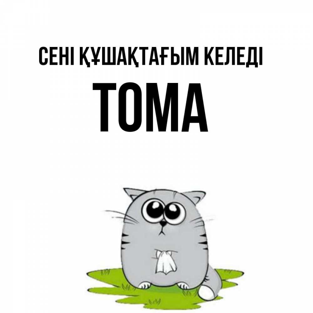 Күн сайын ашық хат с именем, Тома сені құшақтағым келеді котик теребит платочек сидя на травке Онлайн тегін жүктеп алу тілектері бар керемет карта 