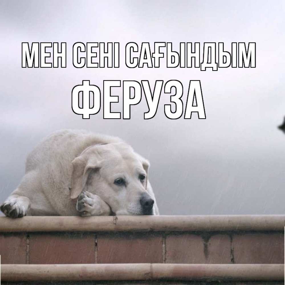 Күн сайын ашық хат с именем, Феруза Мен сені сағындым ждет Онлайн тегін жүктеп алу тілектері бар керемет карта 