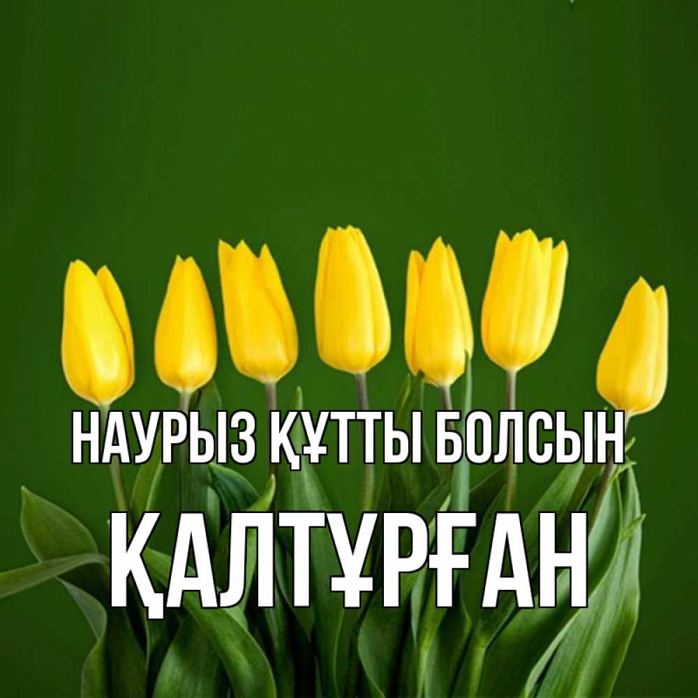 Күн сайын ашық хат с именем, ҚАЛТҰРҒАН Наурыз құтты болсын желтого цвета 3 Онлайн тегін жүктеп алу тілектері бар керемет карта 