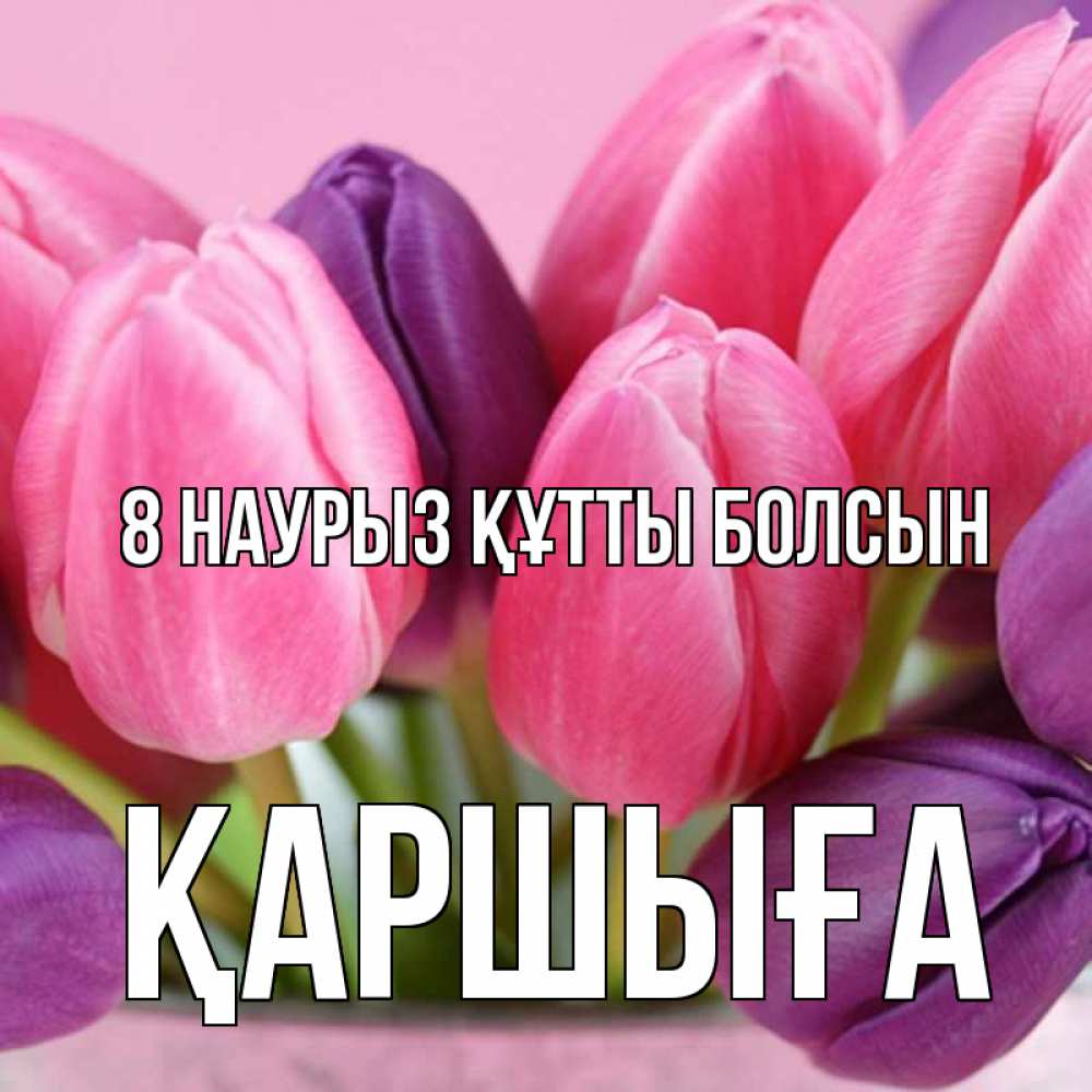 Күн сайын ашық хат с именем, Қаршыға 8 наурыз құтты болсын маме 1 Онлайн тегін жүктеп алу тілектері бар керемет карта 