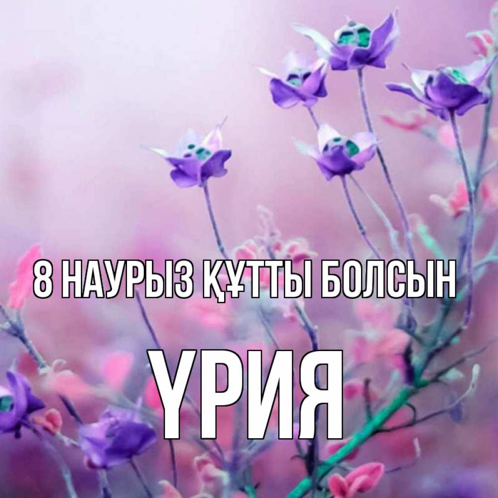 Күн сайын ашық хат с именем, ҮРИЯ 8 наурыз құтты болсын международный женский день 2 Онлайн тегін жүктеп алу тілектері бар керемет карта 