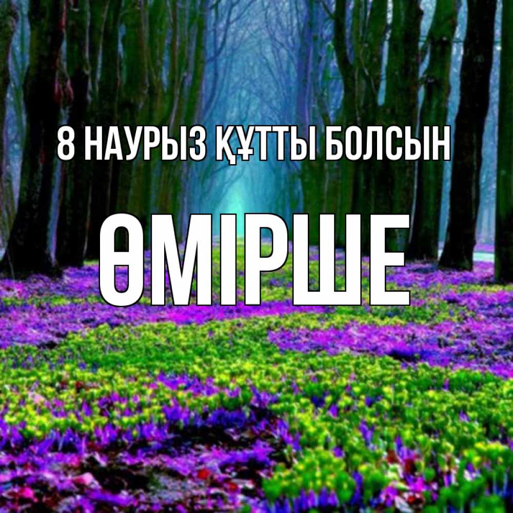 Күн сайын ашық хат с именем, ӨМІРШЕ 8 наурыз құтты болсын фиолетовые цветы в лесу 1 Онлайн тегін жүктеп алу тілектері бар керемет карта 