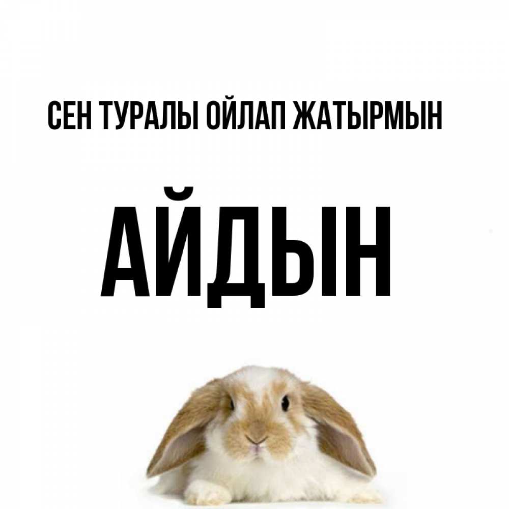 Күн сайын ашық хат с именем, Айдын Сен туралы ойлап жатырмын подписать своими руками онлайн Онлайн тегін жүктеп алу тілектері бар керемет карта 