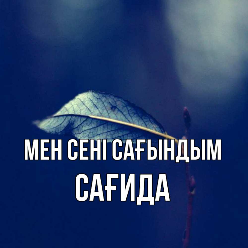 Күн сайын ашық хат с именем, САҒИДА Мен сені сағындым одна ветка 1 Онлайн тегін жүктеп алу тілектері бар керемет карта 