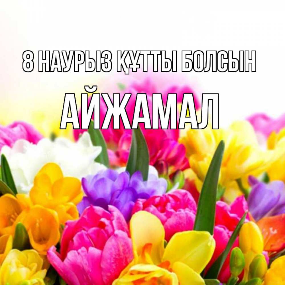 Күн сайын ашық хат с именем, АЙЖАМАЛ 8 наурыз құтты болсын тюльпаны Онлайн тегін жүктеп алу тілектері бар керемет карта 