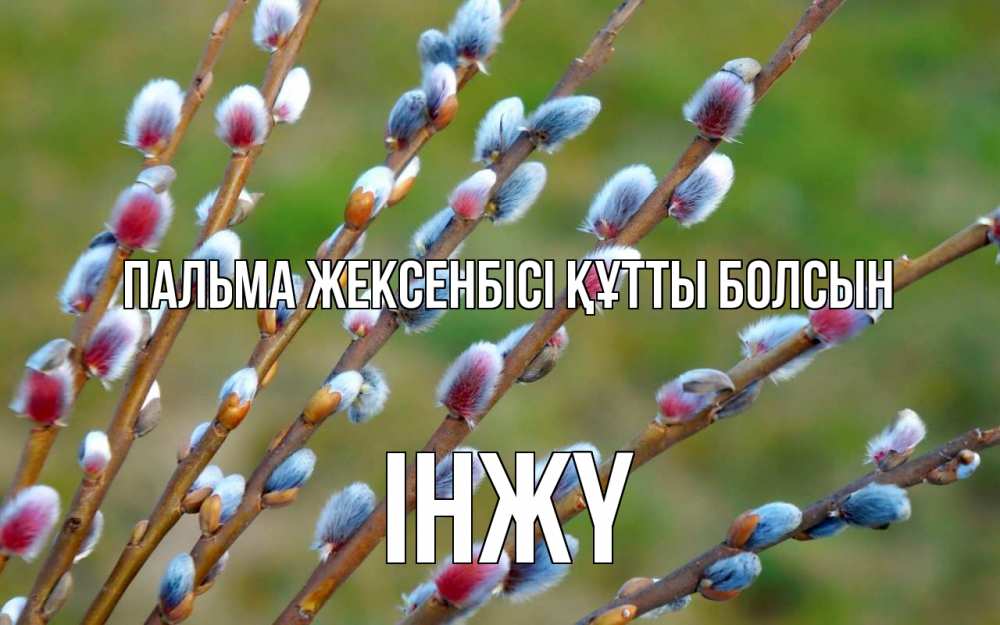 Күн сайын ашық хат с именем, ІНЖҮ Пальма жексенбісі құтты болсын верба Онлайн тегін жүктеп алу тілектері бар керемет карта 