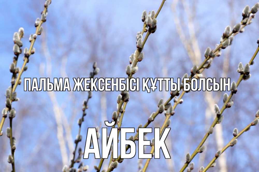 Күн сайын ашық хат с именем, Айбек Пальма жексенбісі құтты болсын верба Онлайн тегін жүктеп алу тілектері бар керемет карта 