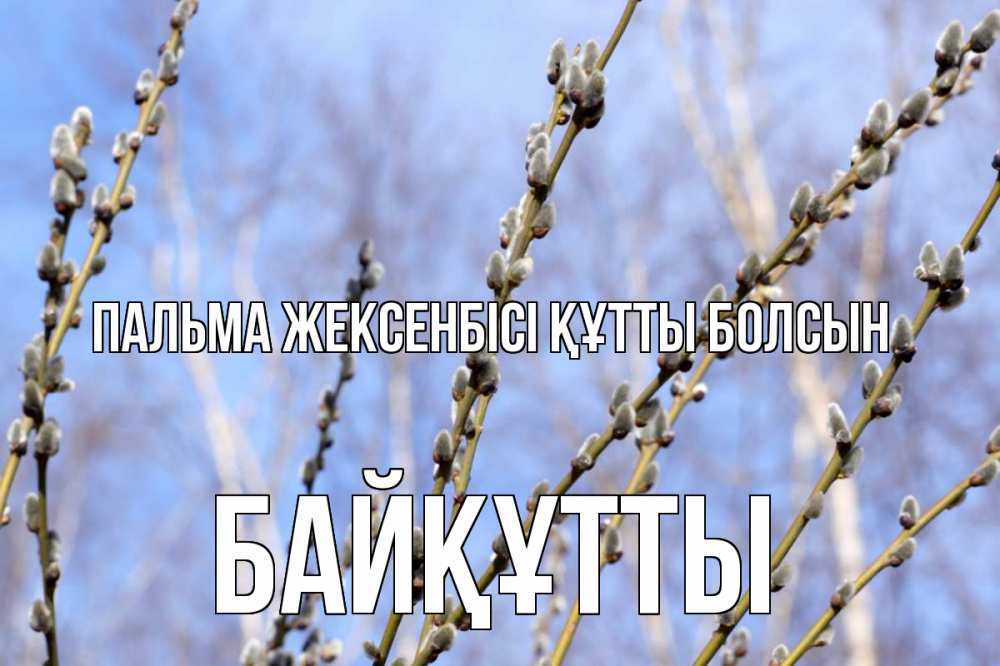 Күн сайын ашық хат с именем, Байқұтты Пальма жексенбісі құтты болсын верба Онлайн тегін жүктеп алу тілектері бар керемет карта 