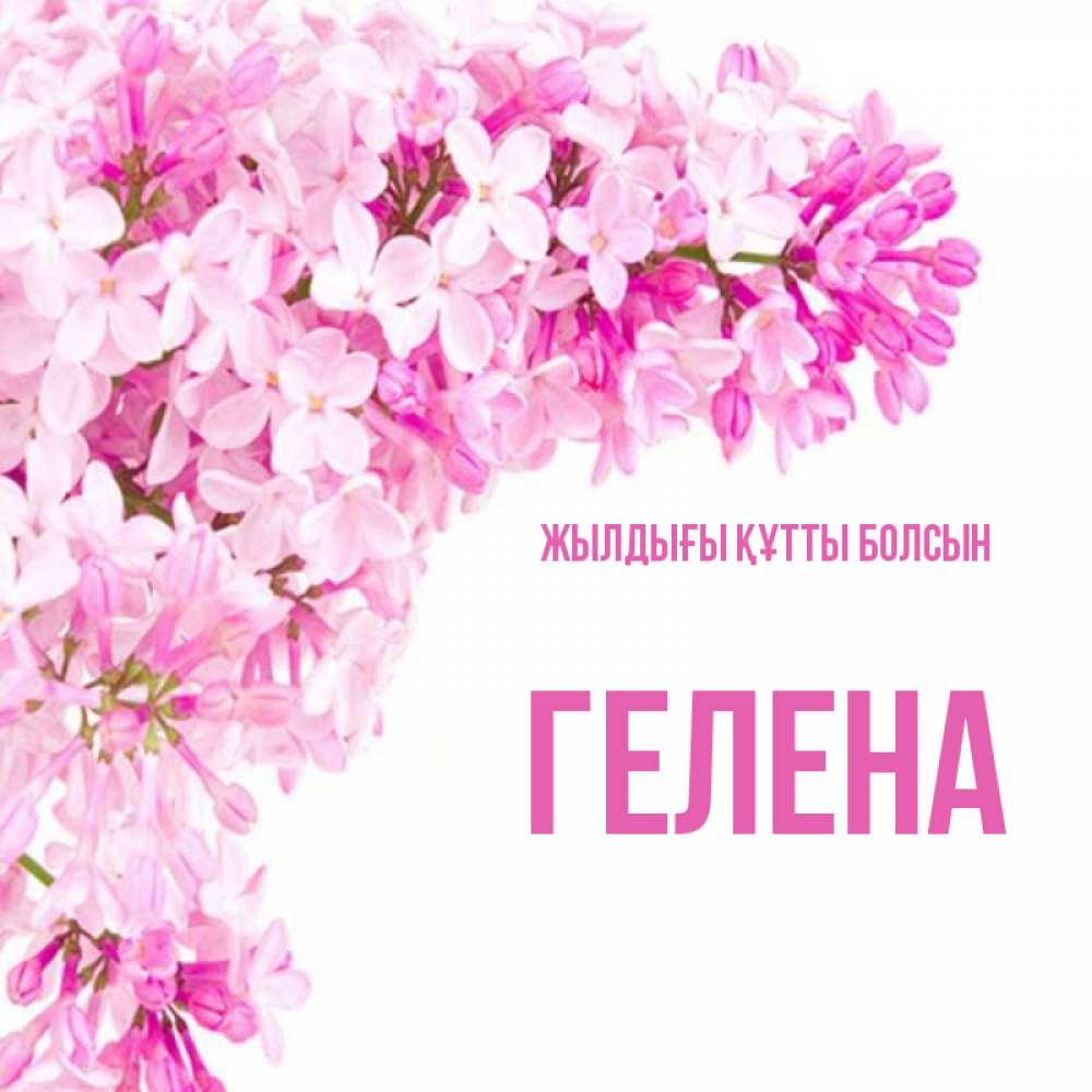 Күн сайын ашық хат с именем, Гелена Жылдығы құтты болсын Сирень на белом фоне Онлайн тегін жүктеп алу тілектері бар керемет карта 