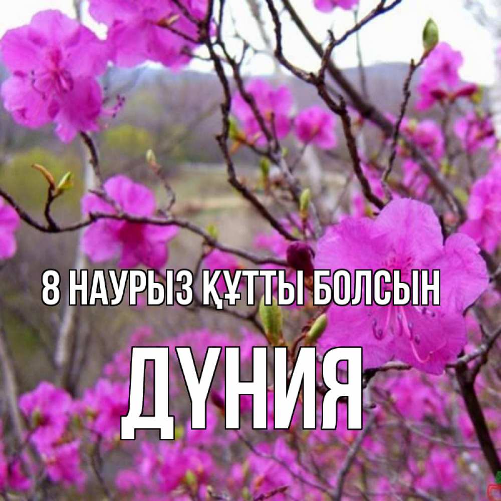 Күн сайын ашық хат с именем, ДҮНИЯ 8 наурыз құтты болсын международный женский день Онлайн тегін жүктеп алу тілектері бар керемет карта 