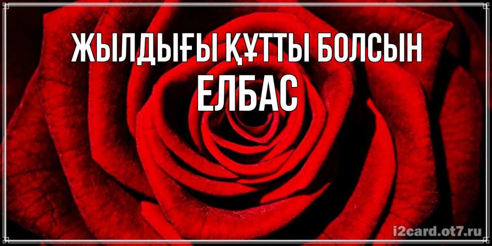 Күн сайын ашық хат с именем, Елбас Жылдығы құтты болсын алая роза Онлайн тегін жүктеп алу тілектері бар керемет карта 