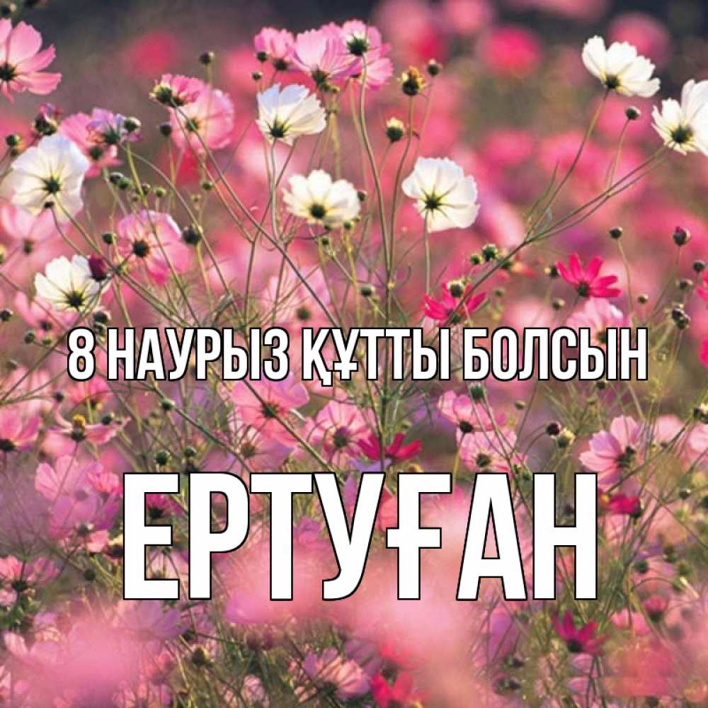 Күн сайын ашық хат с именем, Ертуған 8 наурыз құтты болсын красиво 1 Онлайн тегін жүктеп алу тілектері бар керемет карта 