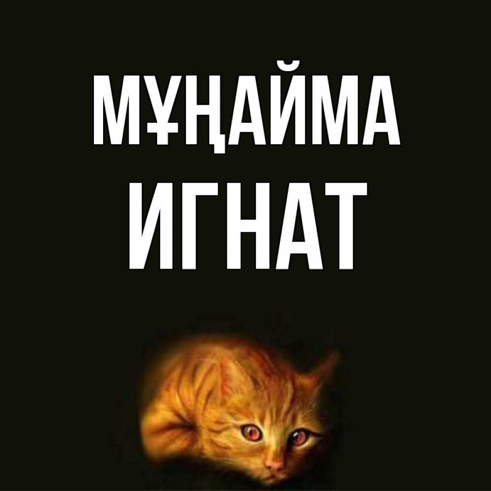 Күн сайын ашық хат с именем, Игнат Мұңайма лежащий кот в темноте Онлайн тегін жүктеп алу тілектері бар керемет карта 