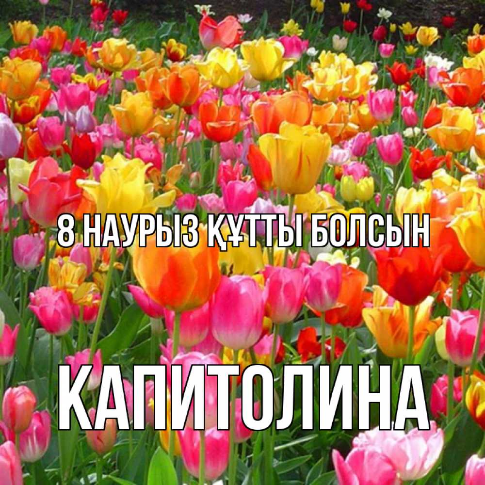 Күн сайын ашық хат с именем, Капитолина 8 наурыз құтты болсын на международный женский день Онлайн тегін жүктеп алу тілектері бар керемет карта 