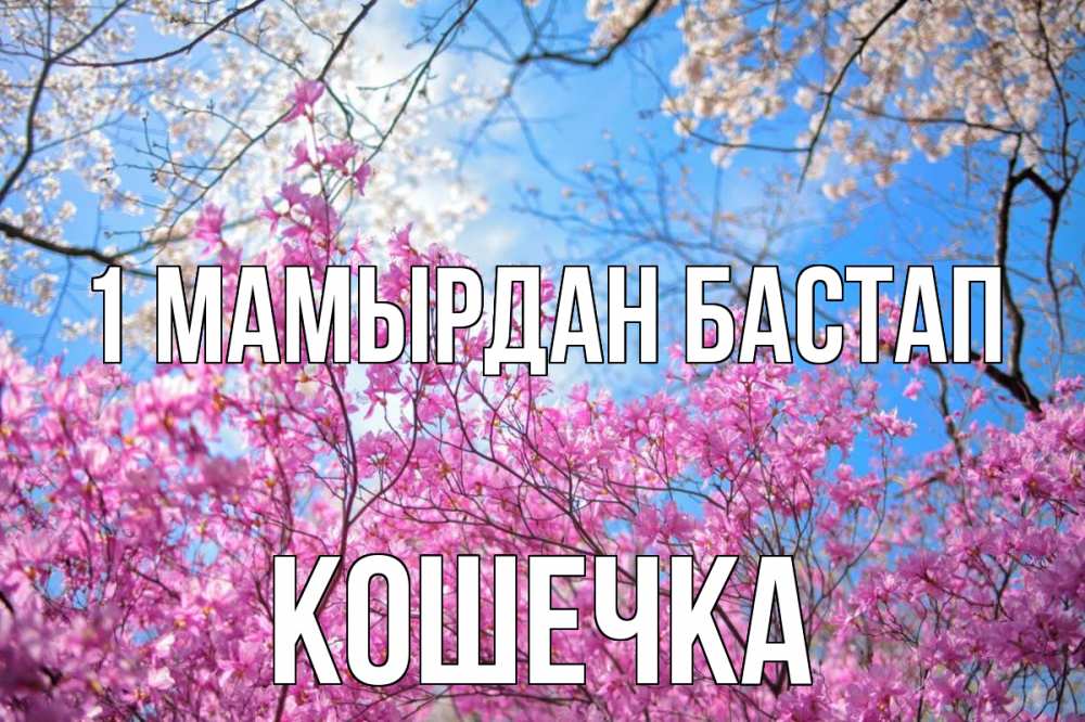 Күн сайын ашық хат с именем, Кошечка 1 мамырдан бастап С 1 мая Онлайн тегін жүктеп алу тілектері бар керемет карта 