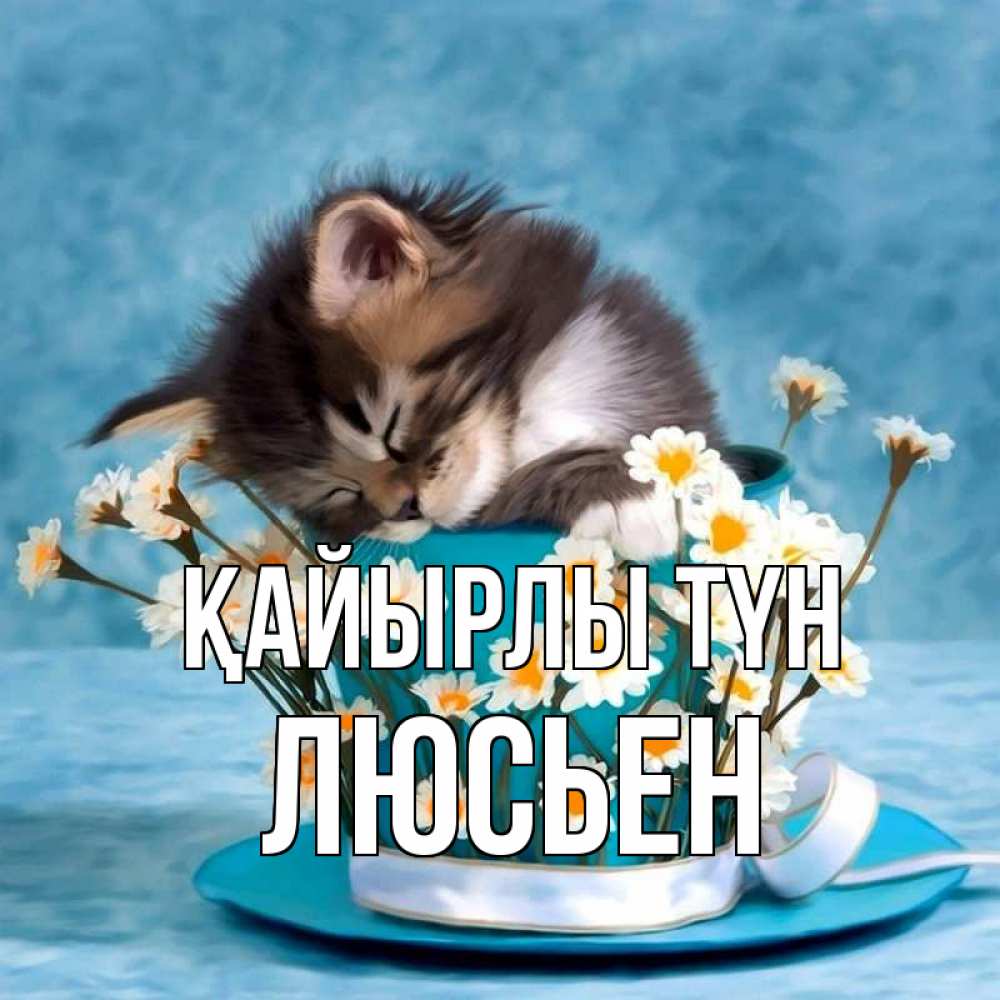Күн сайын ашық хат с именем, Люсьен Қайырлы түн котенок спит в кружке с блюдцем Онлайн тегін жүктеп алу тілектері бар керемет карта 