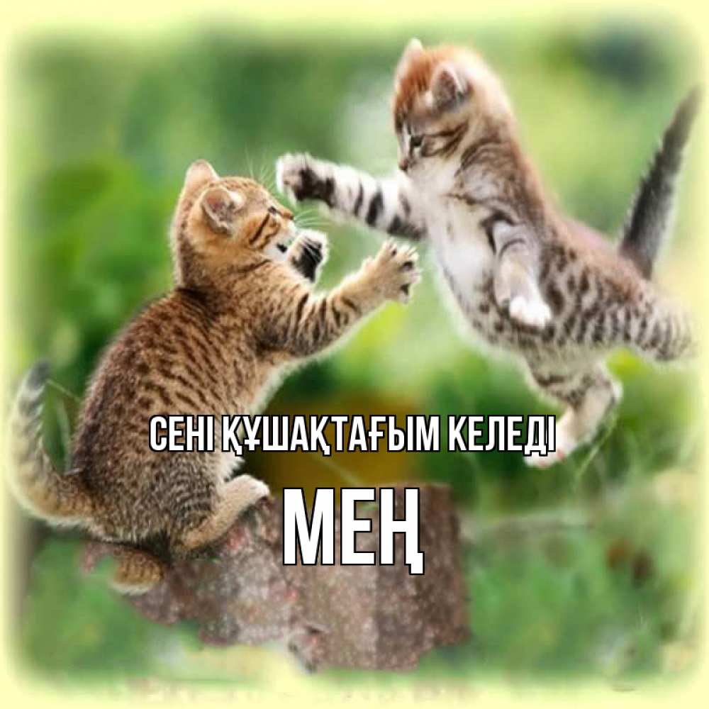Күн сайын ашық хат с именем, МЕҢ сені құшақтағым келеді игры котят Онлайн тегін жүктеп алу тілектері бар керемет карта 