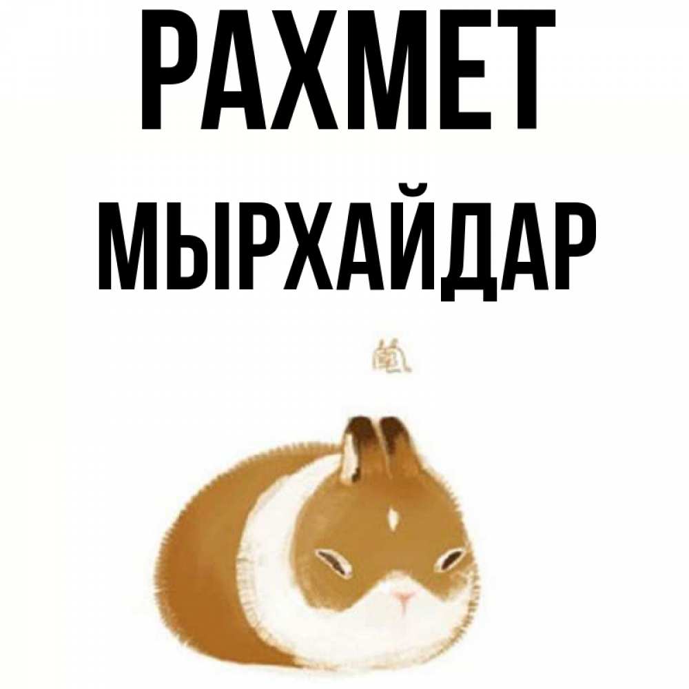 Күн сайын ашық хат с именем, МЫРХАЙДАР рахмет коричнево белый домашний питомец Онлайн тегін жүктеп алу тілектері бар керемет карта 