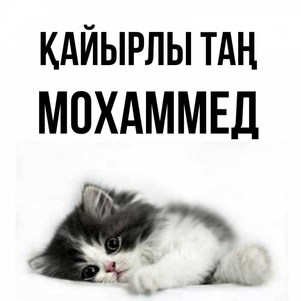 Күн сайын ашық хат с именем, Мохаммед Қайырлы таң кот лапки Онлайн тегін жүктеп алу тілектері бар керемет карта 