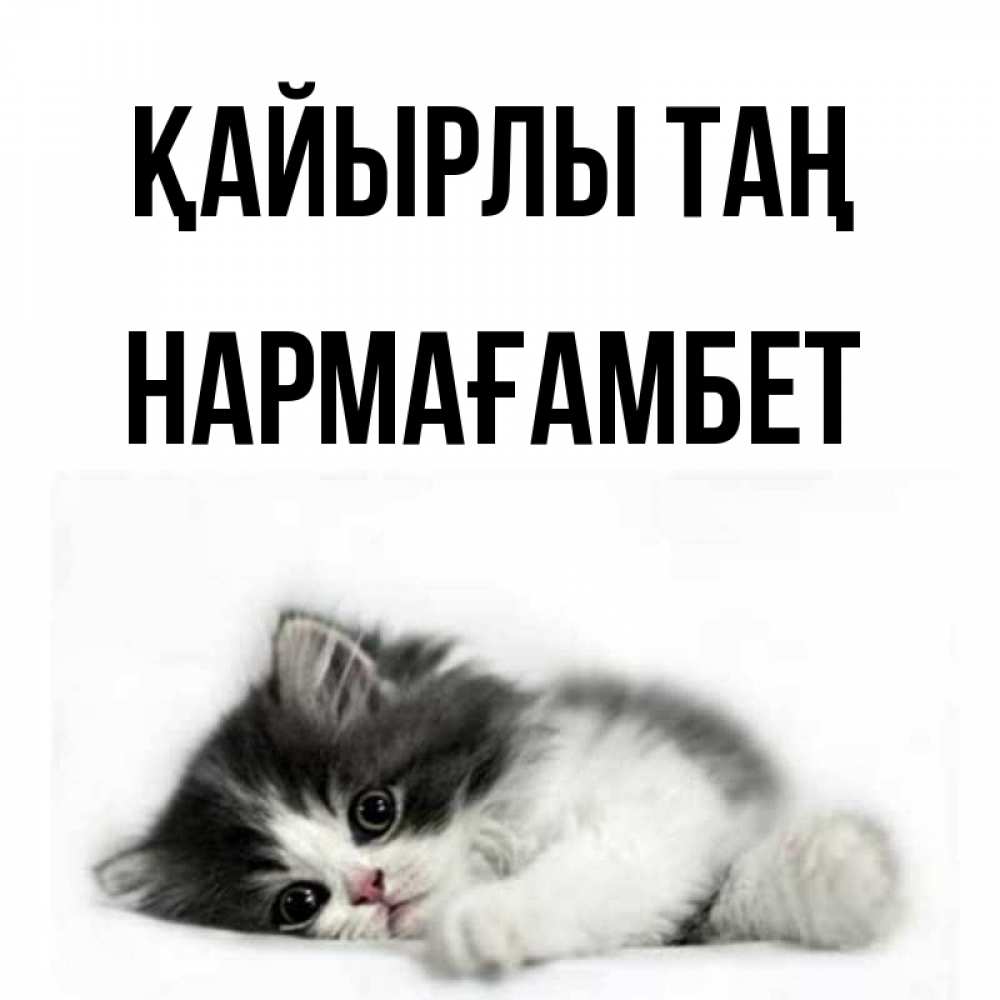 Күн сайын ашық хат с именем, НАРМАҒАМБЕТ Қайырлы таң кот лапки Онлайн тегін жүктеп алу тілектері бар керемет карта 