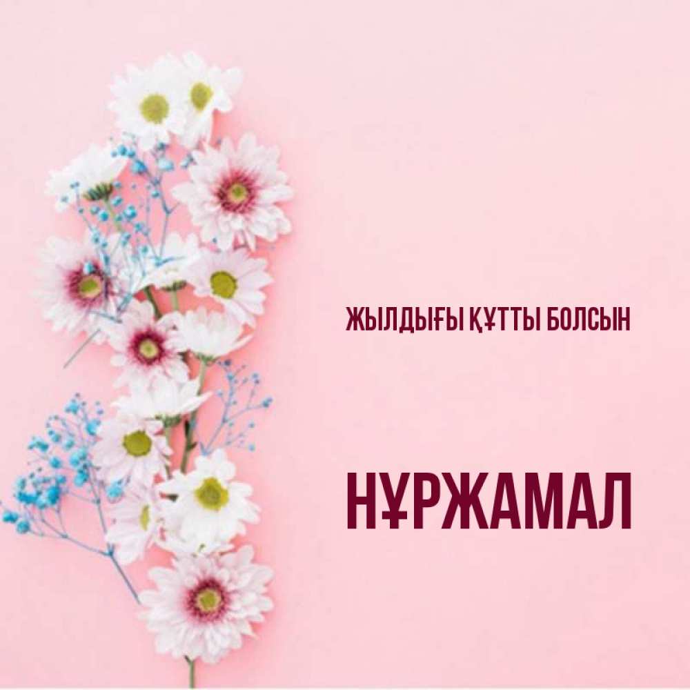 Күн сайын ашық хат с именем, НҰРЖАМАЛ Жылдығы құтты болсын Родная моя с днем рождения тебя картинка с цветами белыми и голубыми Онлайн тегін жүктеп алу тілектері бар керемет карта 