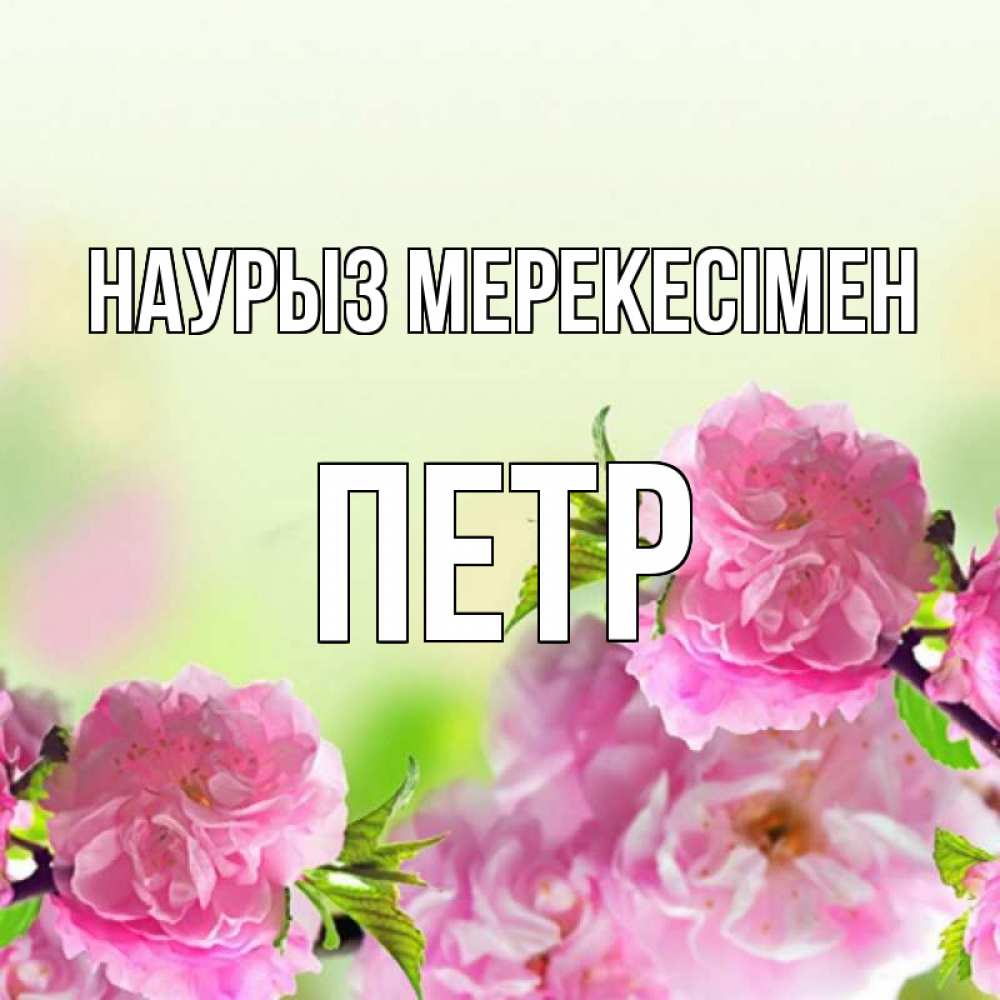 Күн сайын ашық хат с именем, Петр Наурыз мерекесімен цветы Онлайн тегін жүктеп алу тілектері бар керемет карта 