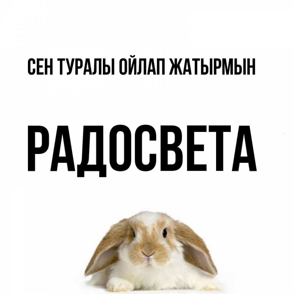Күн сайын ашық хат с именем, Радосвета Сен туралы ойлап жатырмын подписать своими руками онлайн Онлайн тегін жүктеп алу тілектері бар керемет карта 