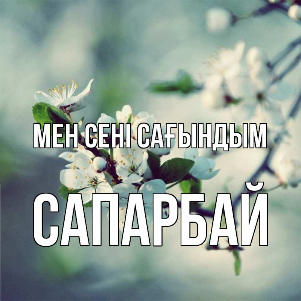 Күн сайын ашық хат с именем, САПАРБАЙ Мен сені сағындым весна Онлайн тегін жүктеп алу тілектері бар керемет карта 