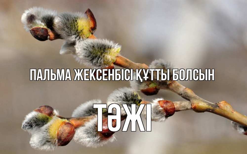 Күн сайын ашық хат с именем, ТӘЖІ Пальма жексенбісі құтты болсын Верба Онлайн тегін жүктеп алу тілектері бар керемет карта 
