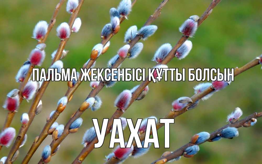 Күн сайын ашық хат с именем, УАХАТ Пальма жексенбісі құтты болсын верба Онлайн тегін жүктеп алу тілектері бар керемет карта 