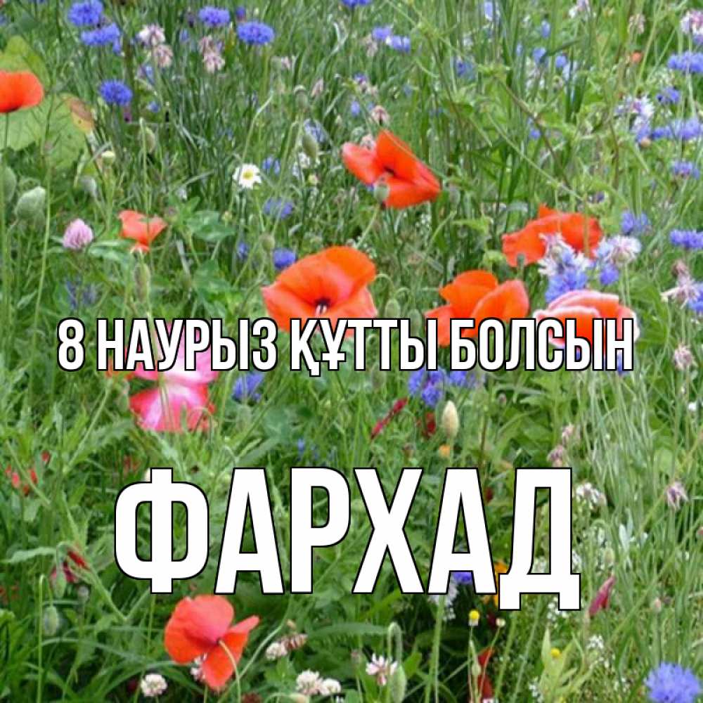 Күн сайын ашық хат с именем, Фархад 8 наурыз құтты болсын международный женский день 4 Онлайн тегін жүктеп алу тілектері бар керемет карта 