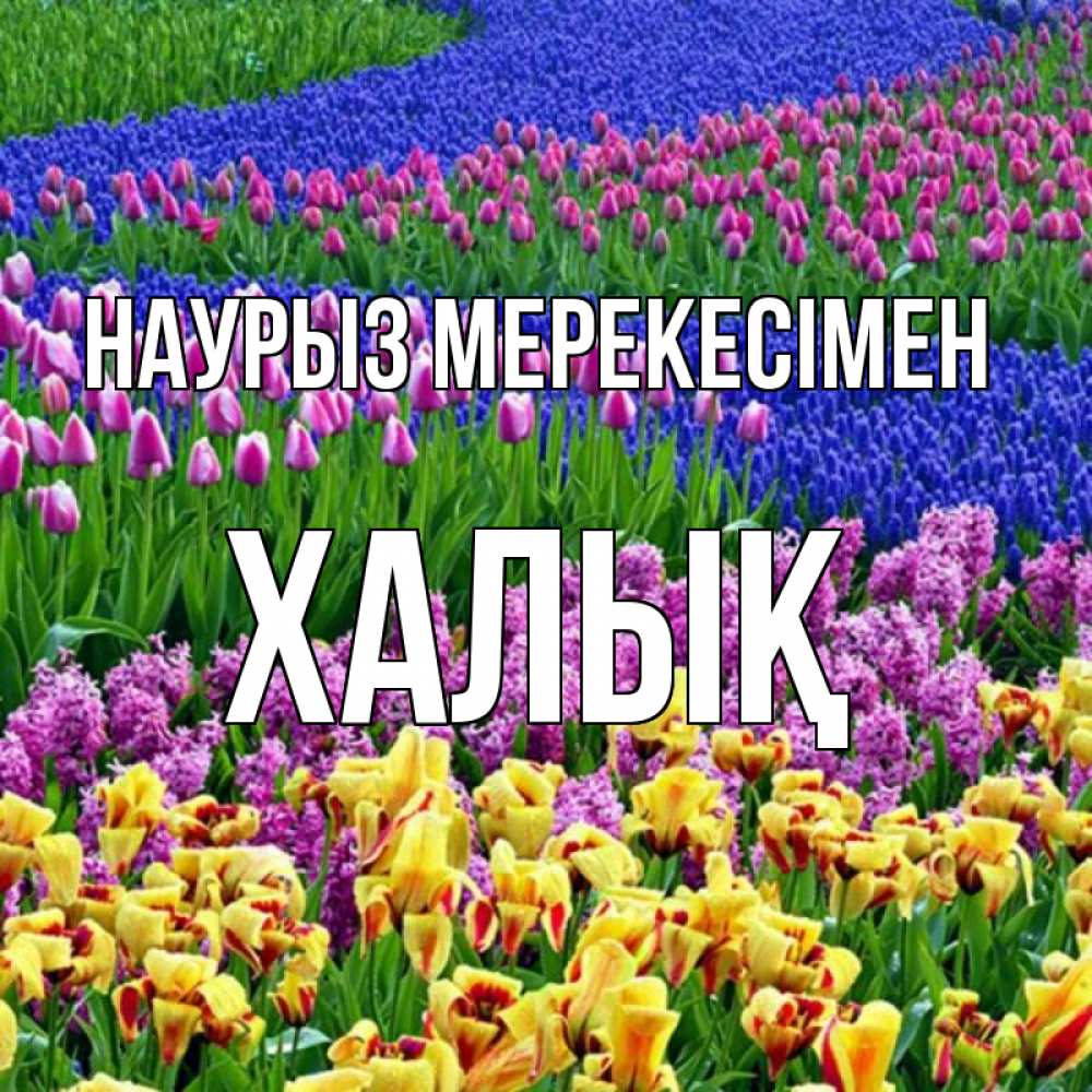 Күн сайын ашық хат с именем, ХАЛЫҚ Наурыз мерекесімен цветы Онлайн тегін жүктеп алу тілектері бар керемет карта 