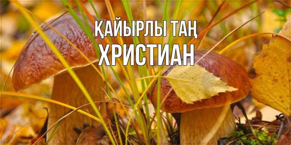 Күн сайын ашық хат с именем, Христиан Қайырлы таң осенние грибы Онлайн тегін жүктеп алу тілектері бар керемет карта 