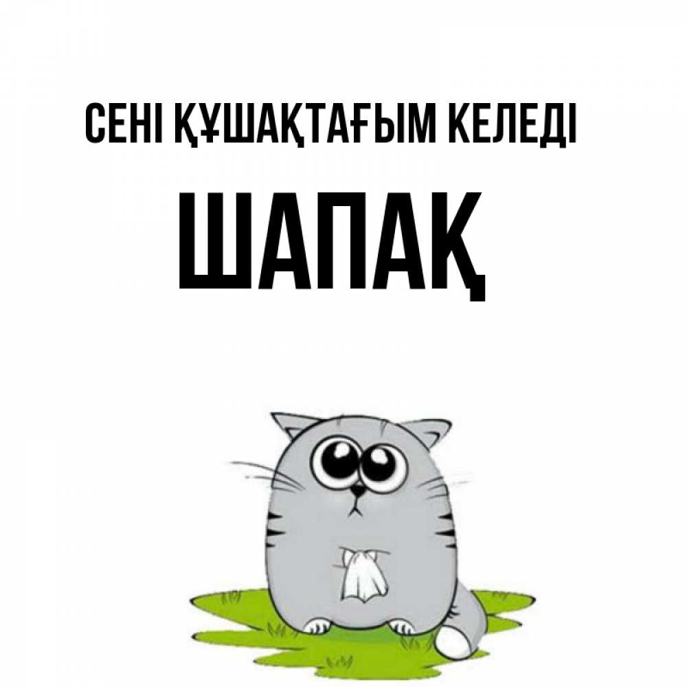 Күн сайын ашық хат с именем, ШАПАҚ сені құшақтағым келеді котик теребит платочек сидя на травке Онлайн тегін жүктеп алу тілектері бар керемет карта 