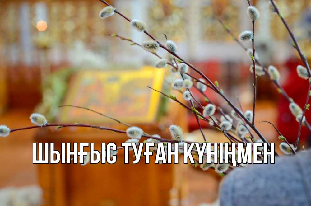 Картинка  с именем , ШЫНҒЫС! ТУҒАН КҮНІҢМЕН!