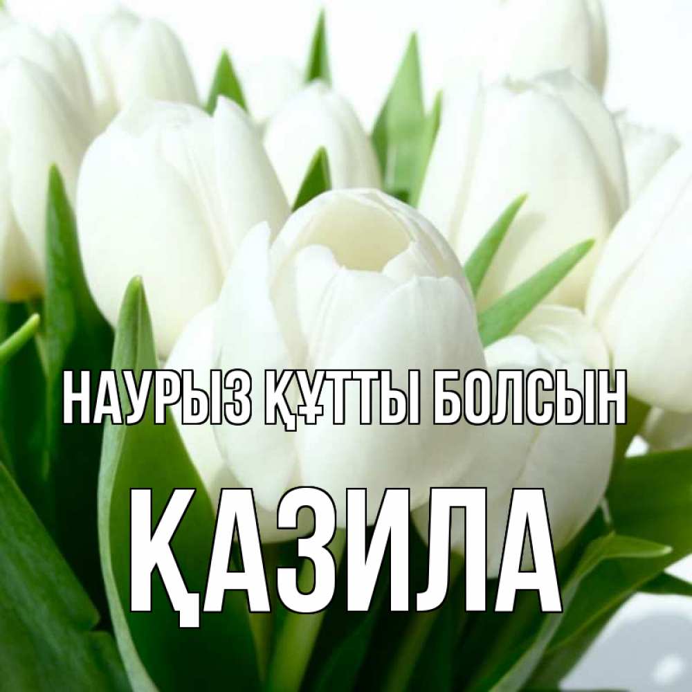 Күн сайын ашық хат с именем, ҚАЗИЛА Наурыз құтты болсын цветы Онлайн тегін жүктеп алу тілектері бар керемет карта 