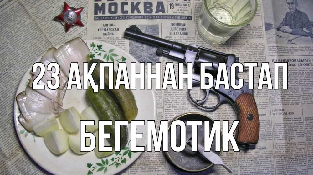 Картинка 23 ақпаннан бастап, Бегемотик