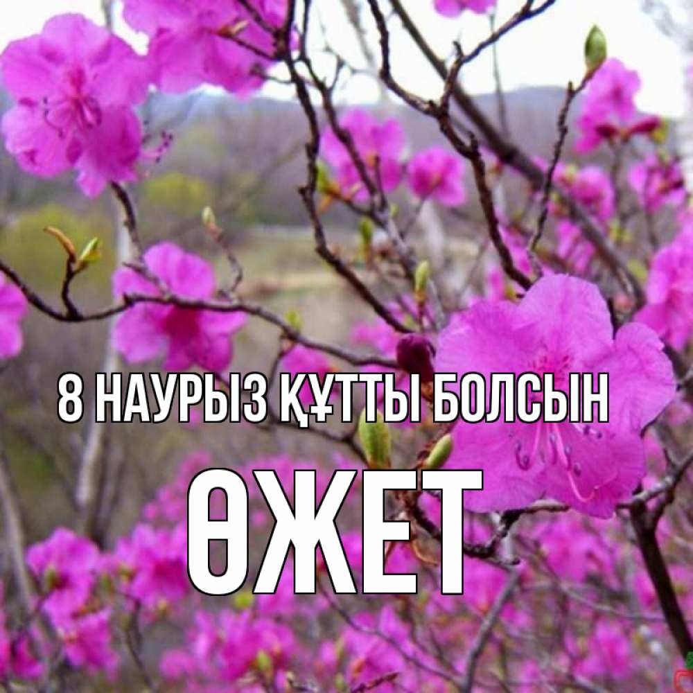 Күн сайын ашық хат с именем, ӨЖЕТ 8 наурыз құтты болсын международный женский день Онлайн тегін жүктеп алу тілектері бар керемет карта 