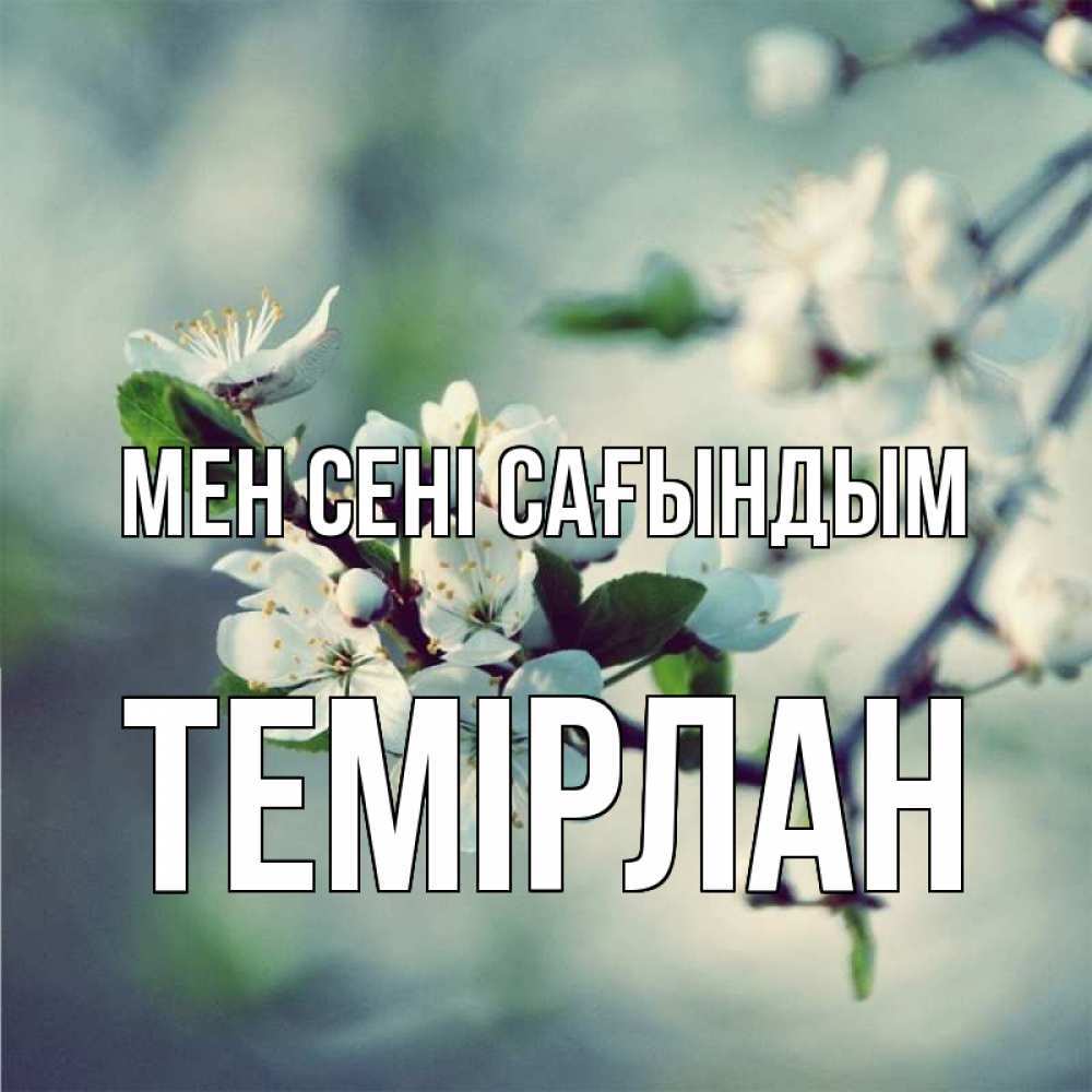 Күн сайын ашық хат с именем, ТЕМІРЛАН Мен сені сағындым весна Онлайн тегін жүктеп алу тілектері бар керемет карта 