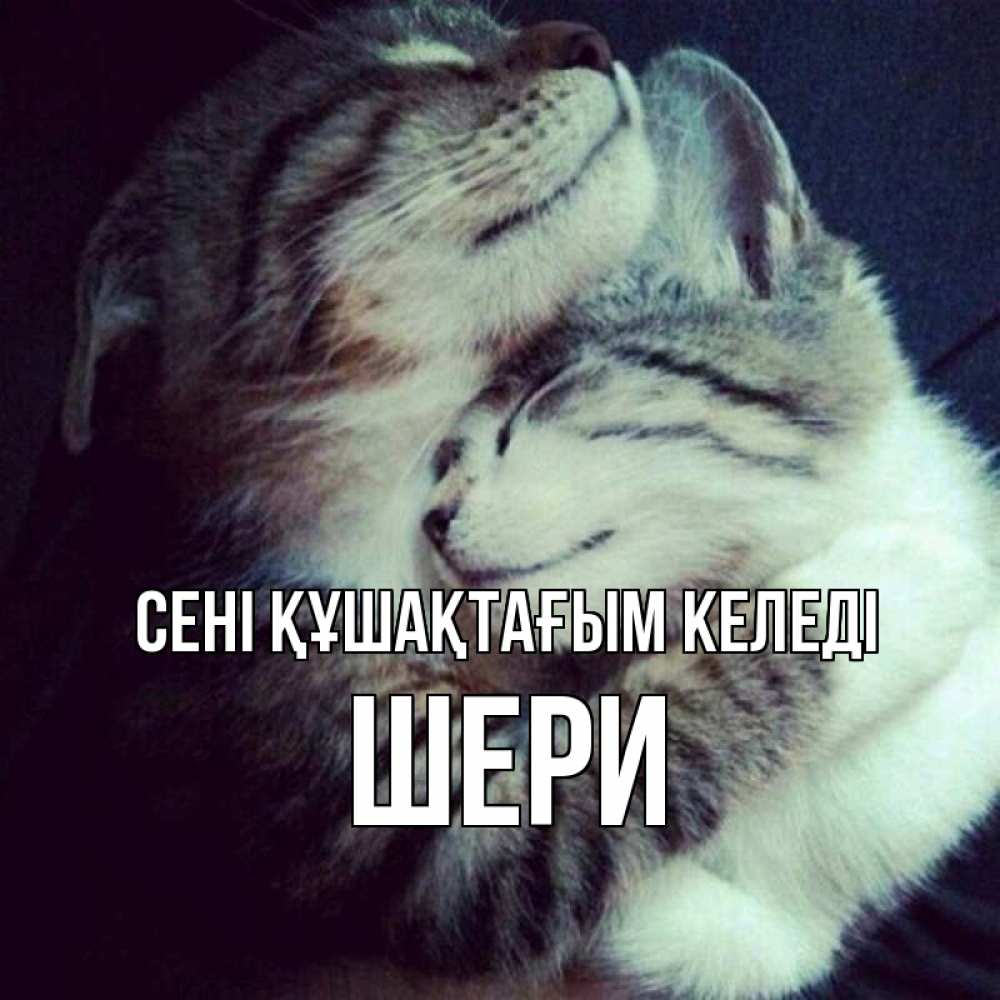 Күн сайын ашық хат с именем, ШЕРИ сені құшақтағым келеді полосатики Онлайн тегін жүктеп алу тілектері бар керемет карта 