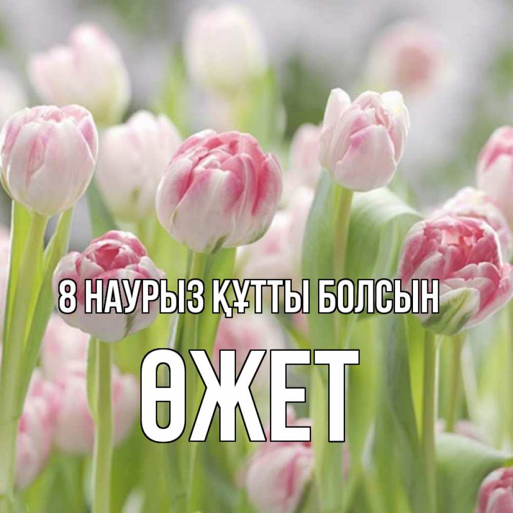 Күн сайын ашық хат с именем, ӨЖЕТ 8 наурыз құтты болсын цветы Онлайн тегін жүктеп алу тілектері бар керемет карта 