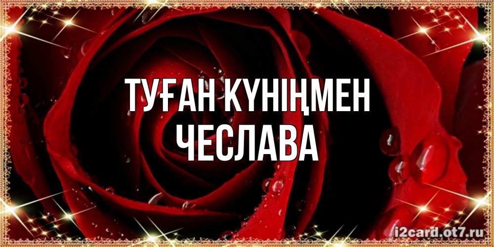 Күн сайын ашық хат с именем, Чеслава Туған күніңмен цветок в росе на день рождения Онлайн тегін жүктеп алу тілектері бар керемет карта 