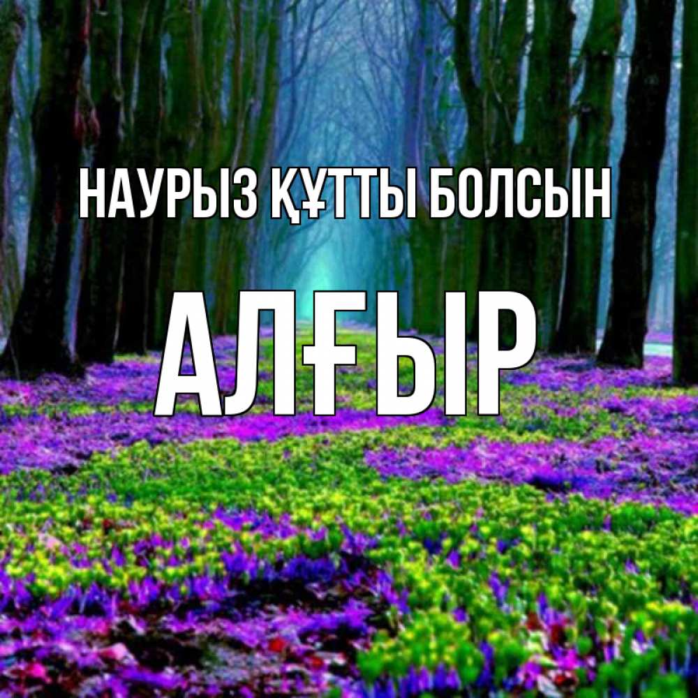Күн сайын ашық хат с именем, Алғыр Наурыз құтты болсын фиолетовые цветы в лесу 1 Онлайн тегін жүктеп алу тілектері бар керемет карта 