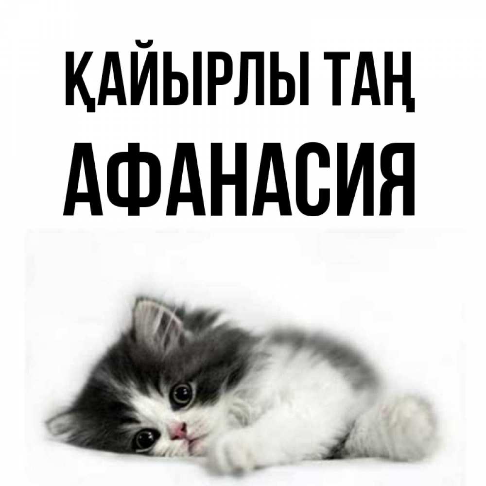 Күн сайын ашық хат с именем, Афанасия Қайырлы таң кот лапки Онлайн тегін жүктеп алу тілектері бар керемет карта 