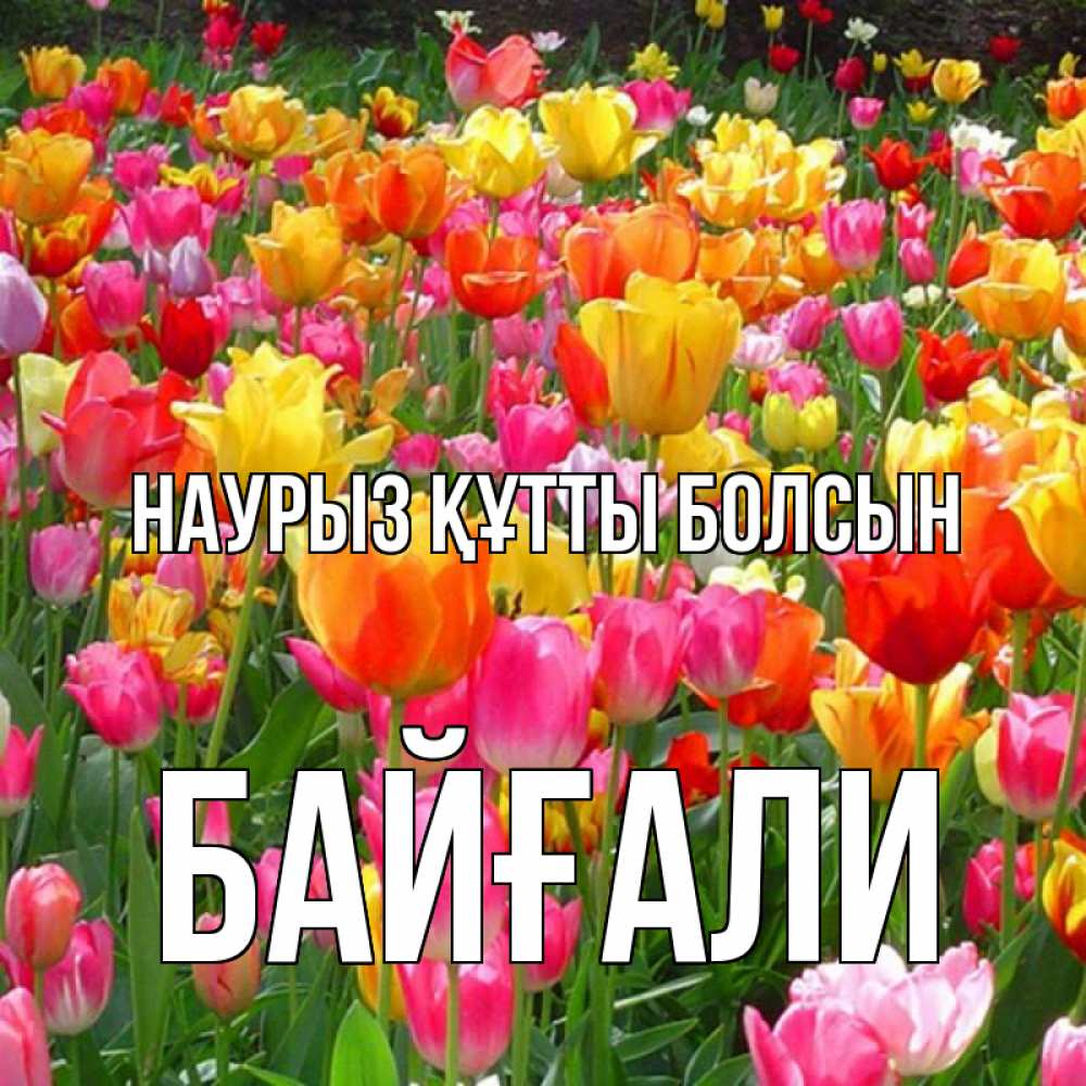 Күн сайын ашық хат с именем, Байғали Наурыз құтты болсын на наурыз  ура ура Онлайн тегін жүктеп алу тілектері бар керемет карта 